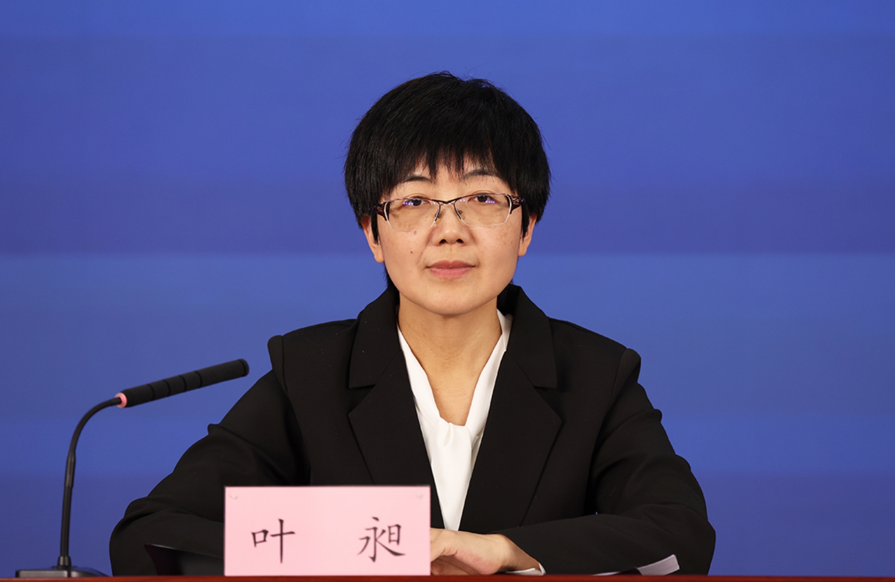 北京市委宣传部对外新闻处处长 叶昶
