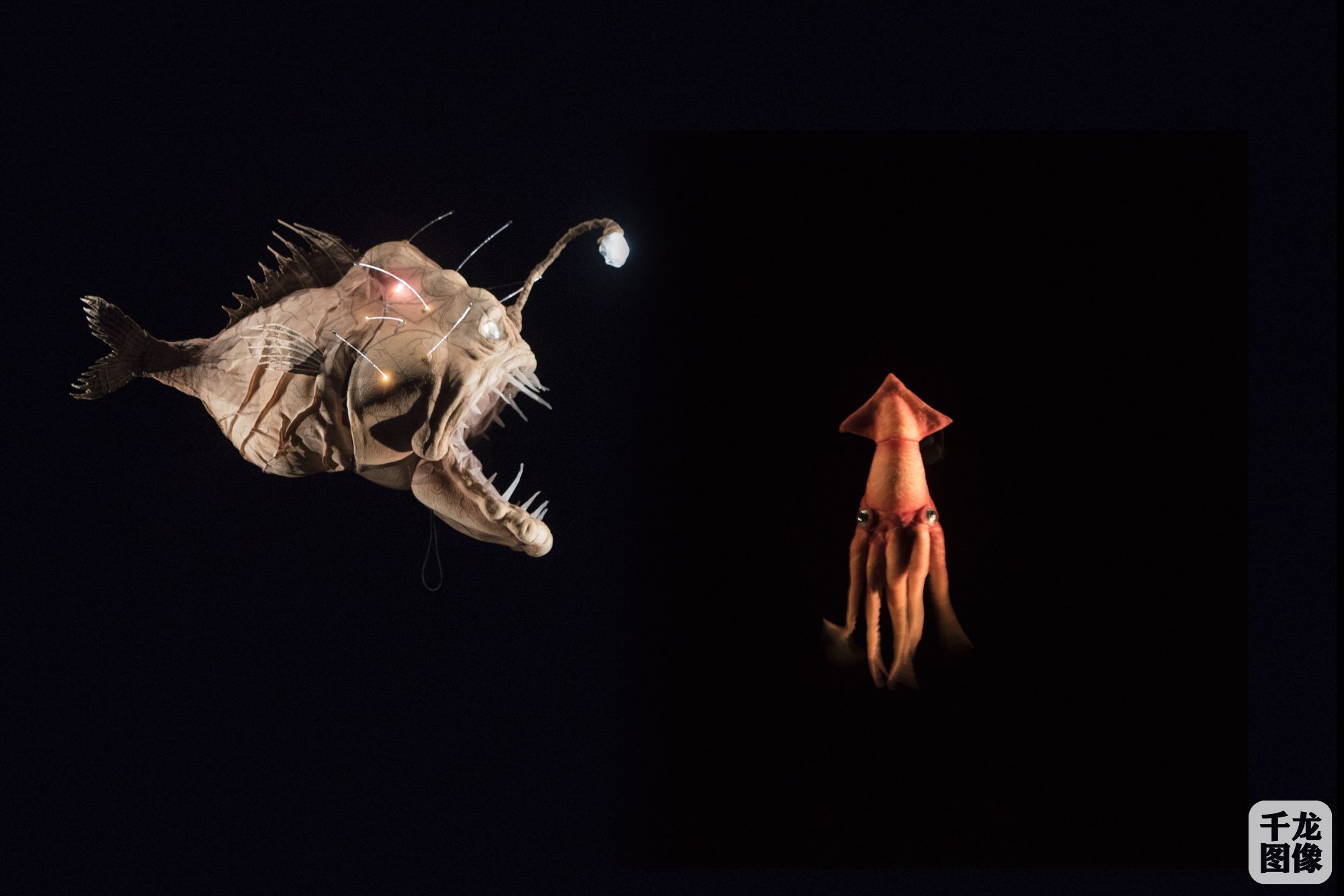 20000 Lieues 1 © Brigitte Enguerand
