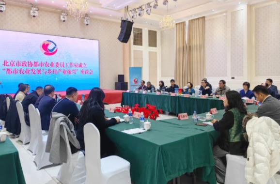 360截图20241223082859434