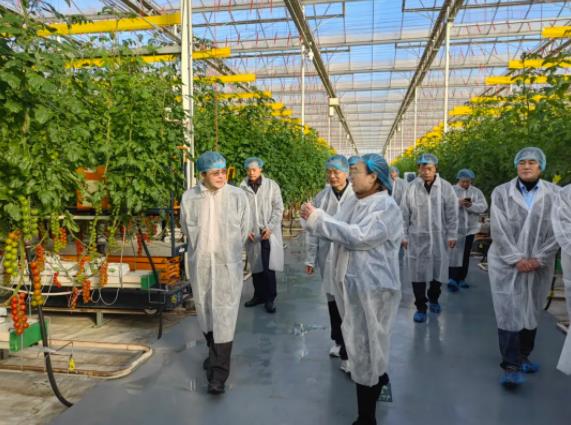 360截图20241223083822101