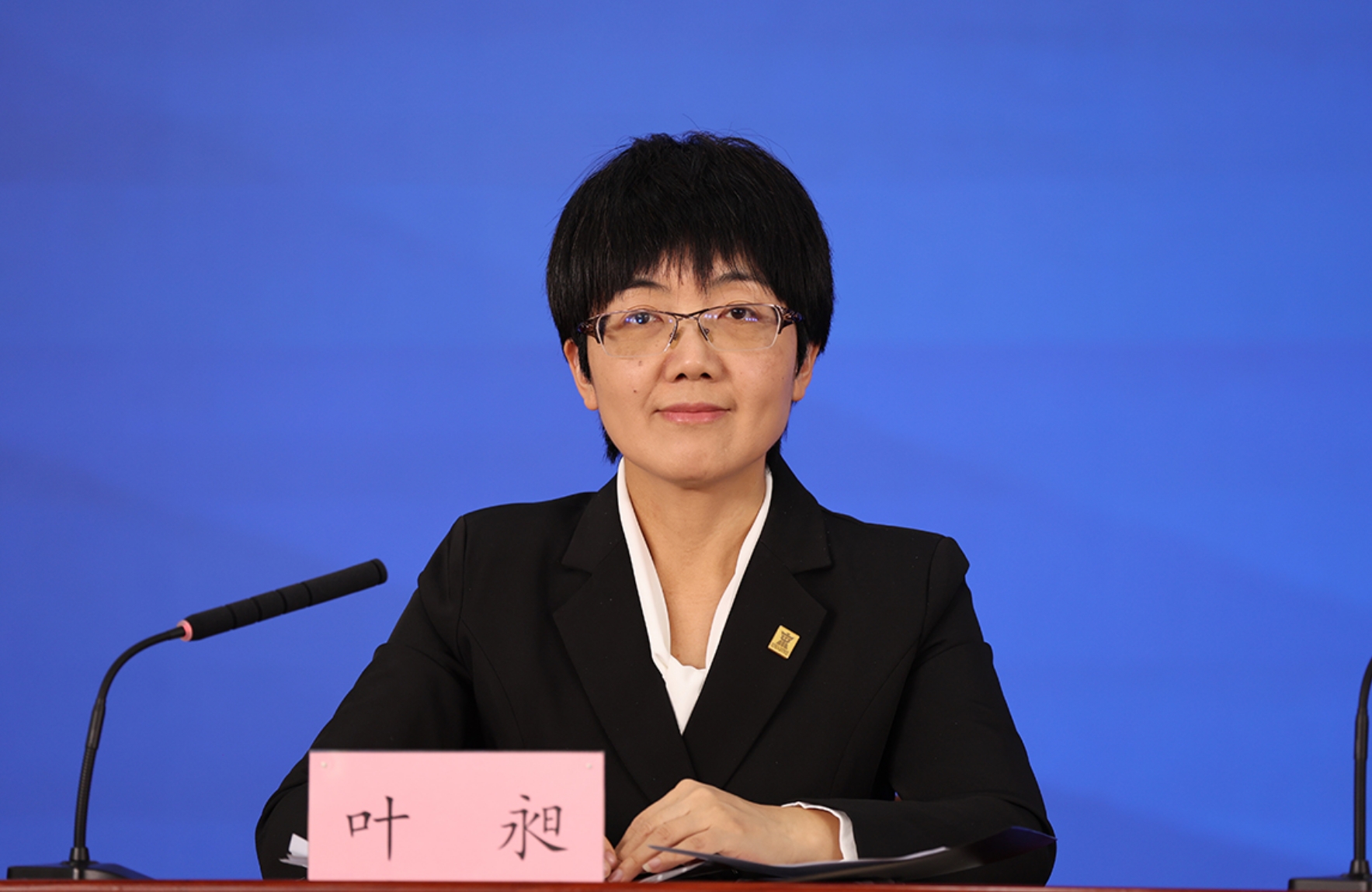 北京市委宣传部对外新闻处处长 叶昶