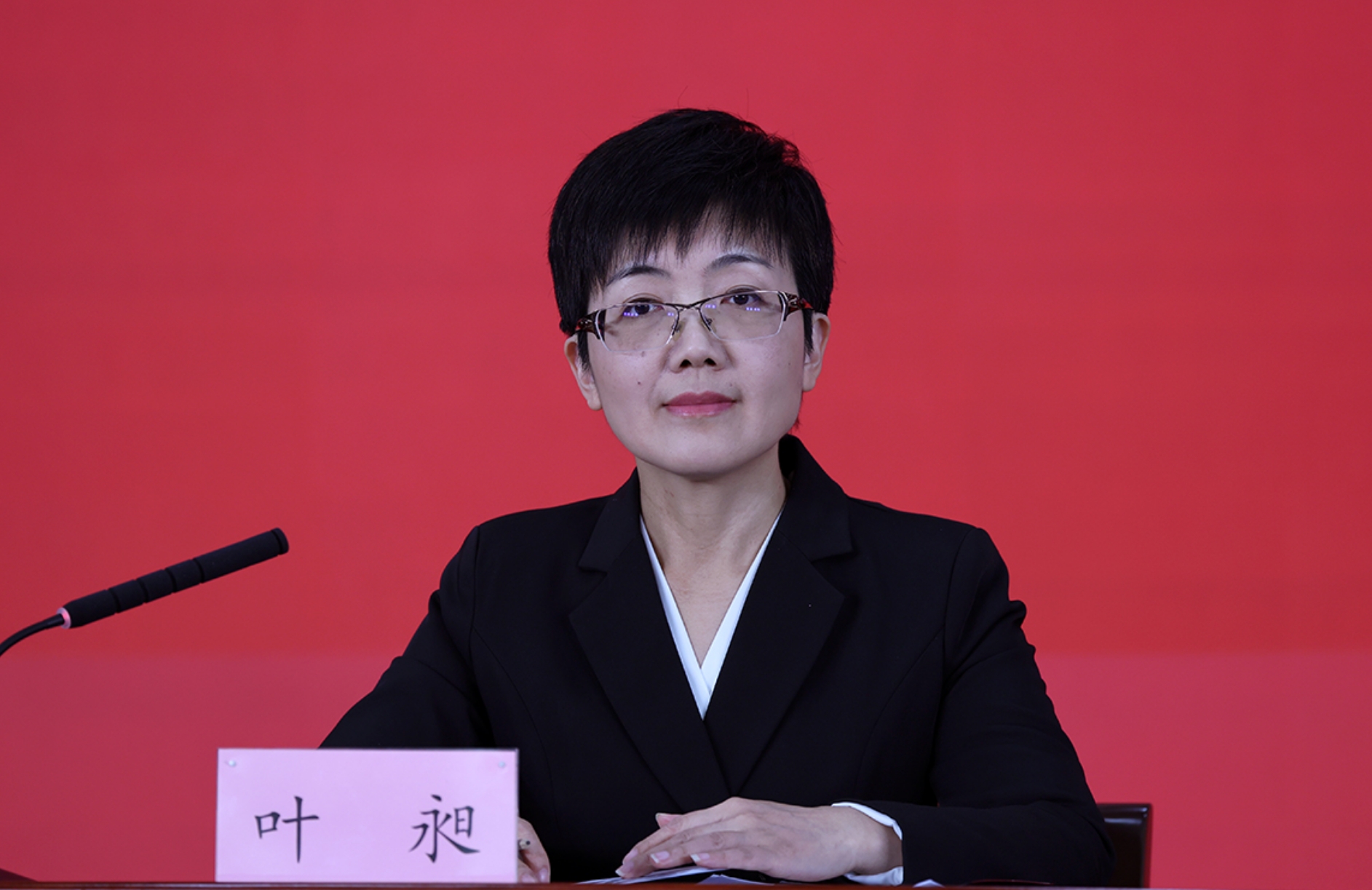 北京市委宣传部对外新闻处处长 叶昶