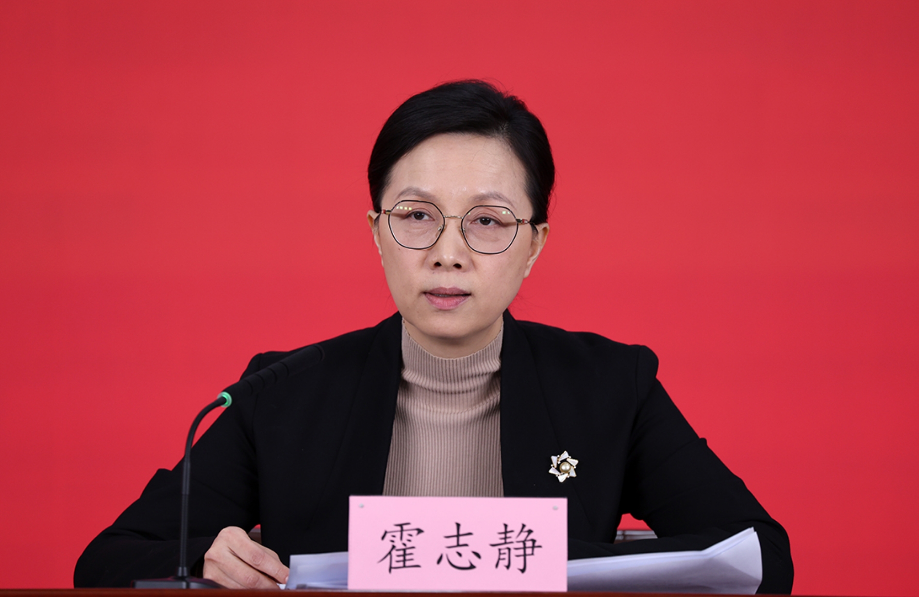 北京市委宣传部副部长、市电影局局长 霍志静