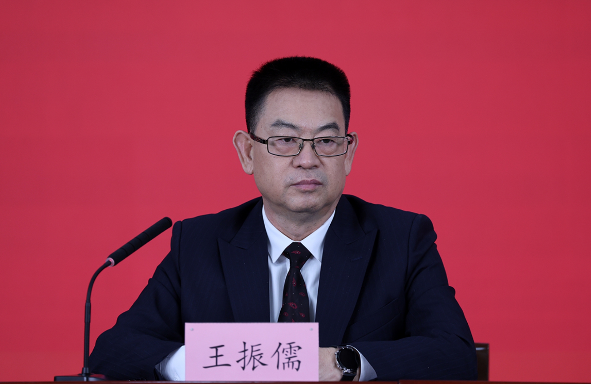 河北省委宣传部副部长、省电影局局长 王振儒