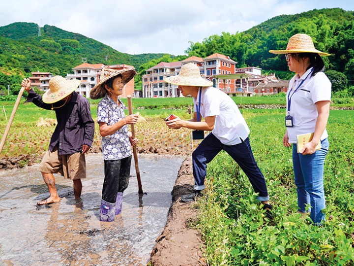 福建省安溪县纪检监察干部深入田间地头进行线下走访,及时解决群众诉求。图为安溪县城厢镇纪委监察组在经兜村走访(2023年7月17日摄)泉州市纪委监委供图 来源:新华社