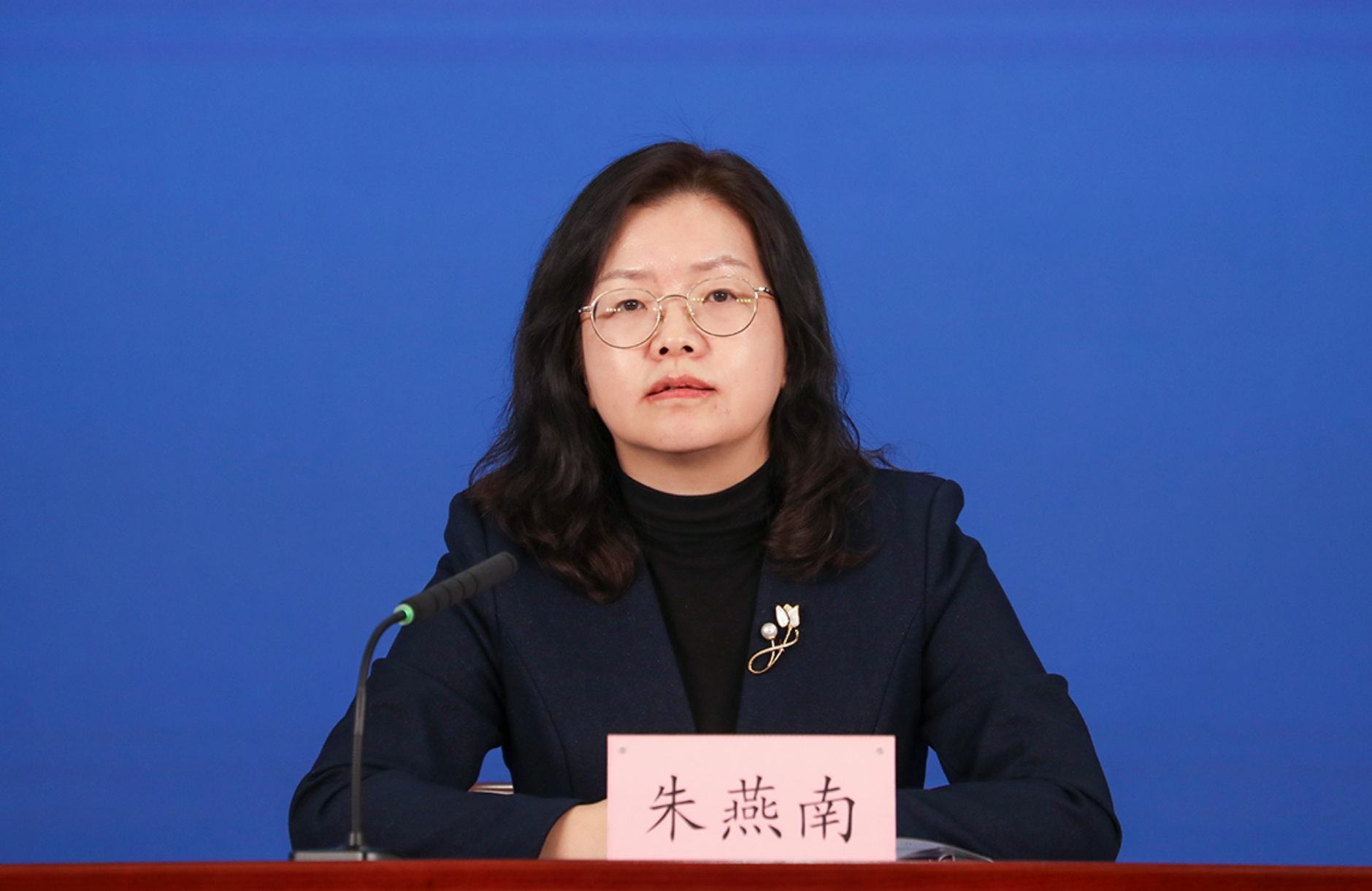北京市统计局党组成员、副局长，新闻发言人 朱燕南