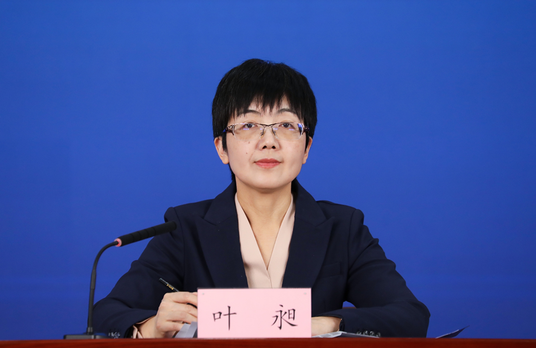 北京市委宣传部对外新闻处处长 叶昶