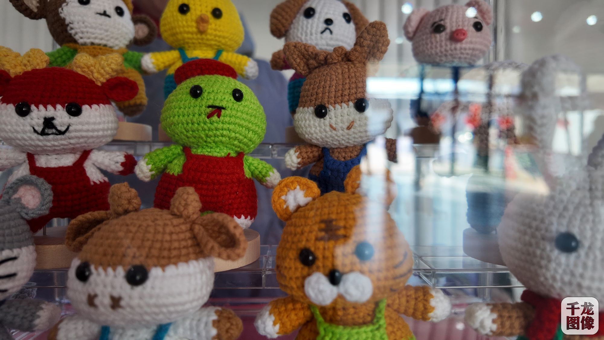 DJI_20250122121915_0231_D