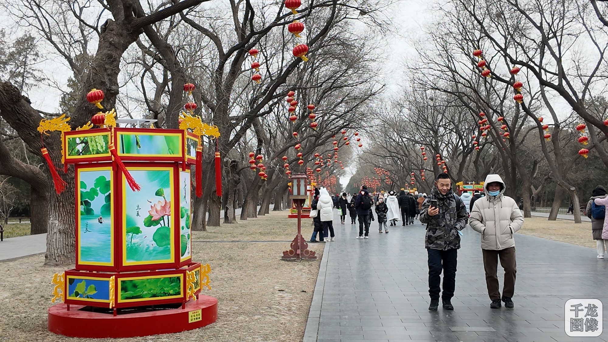 DJI_20250126111722_0193_D