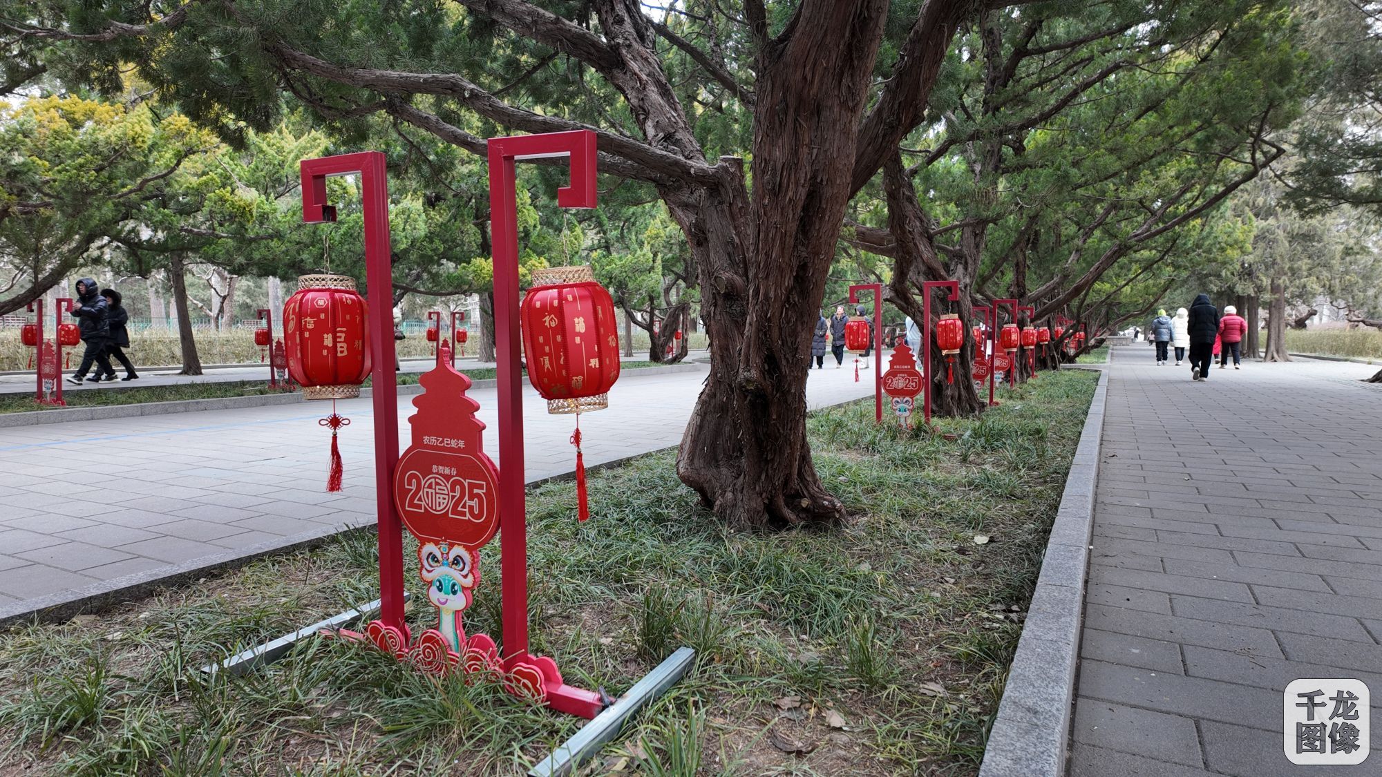 DJI_20250126113056_0218_D