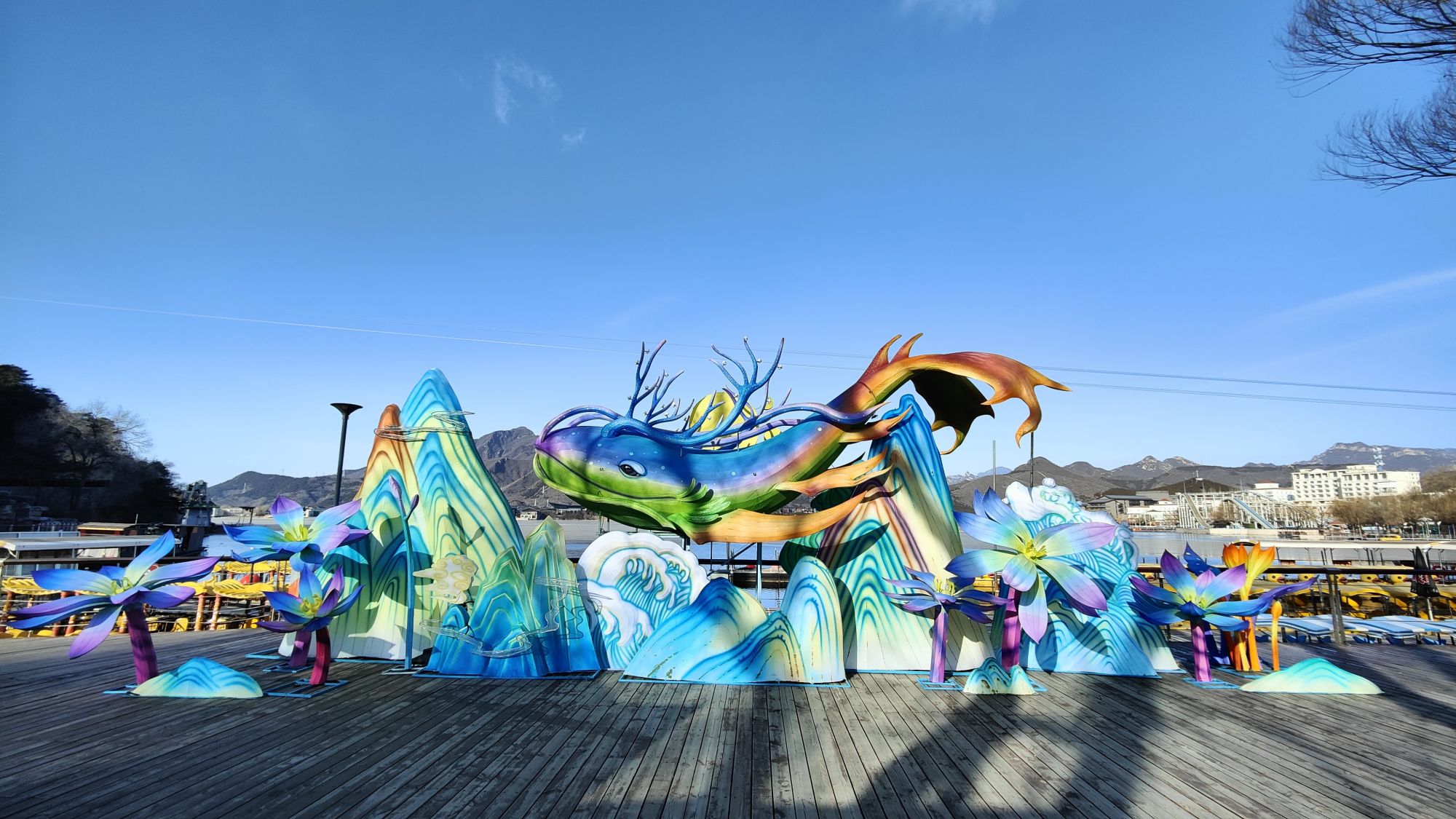 微信图片_20250206162905