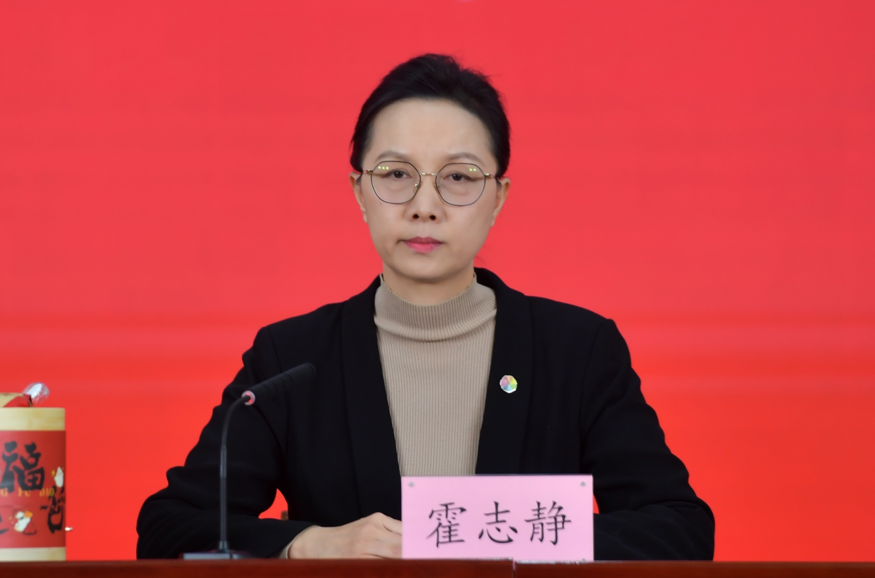 北京市委宣传部副部长、北京市电影局局长 霍志静