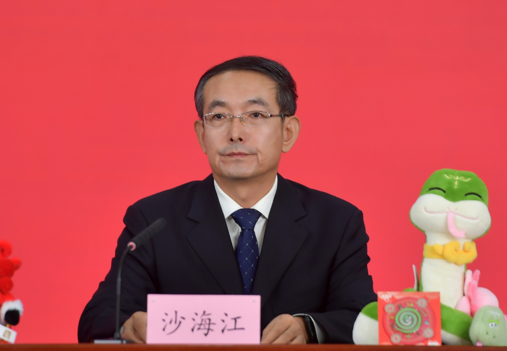 北京市园林绿化局副局长 沙海江