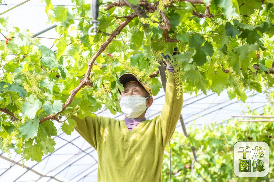 微信图片_20250306101411