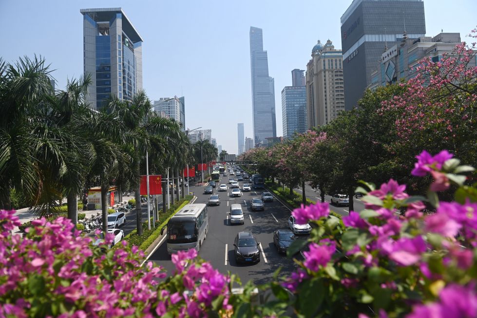 2024年10月7日,进城车辆在广西南宁市民族大道行驶。新华社记者 陆波岸 摄