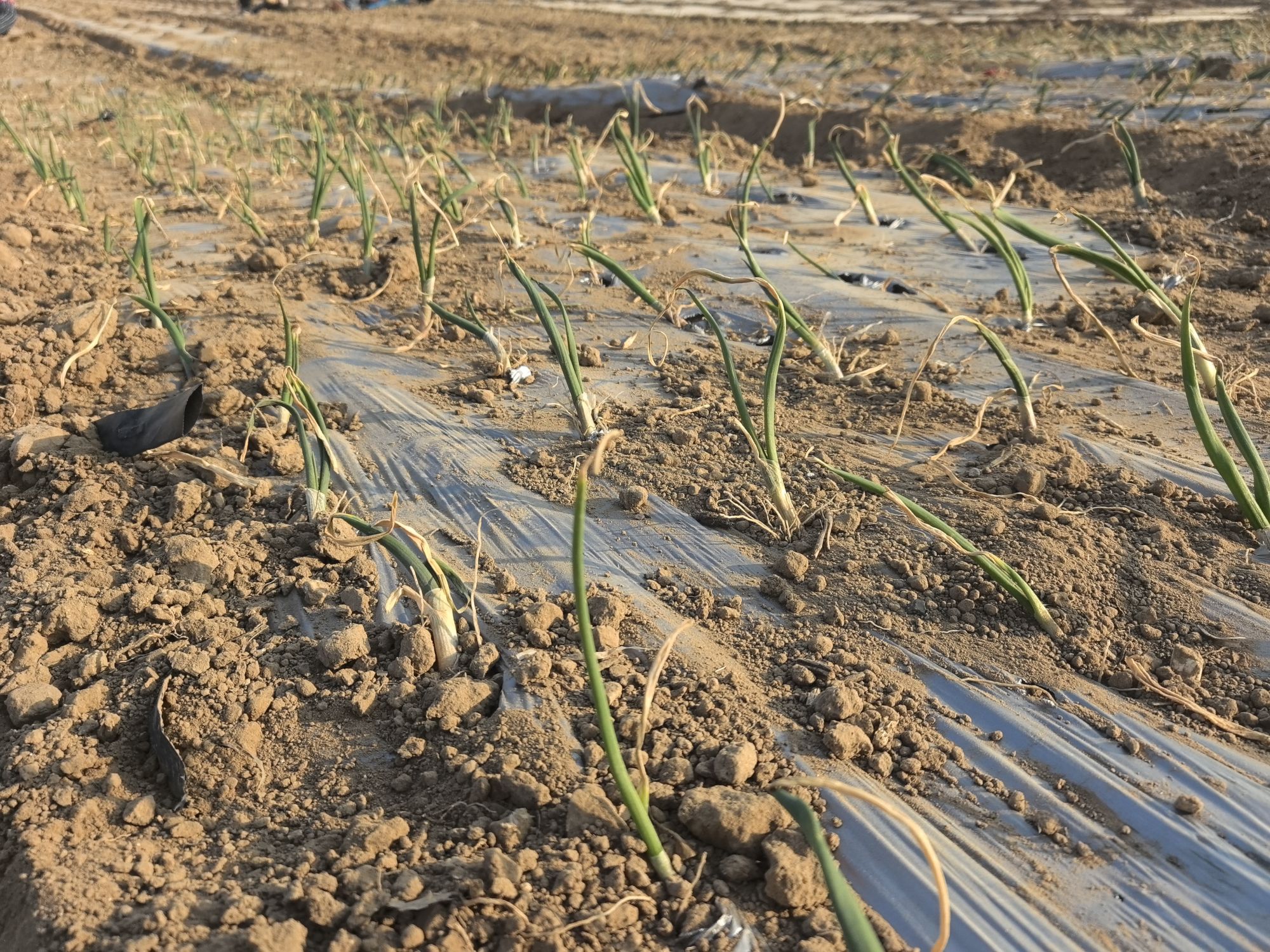 d870a86b79593ebd28e28c944cc2ab1