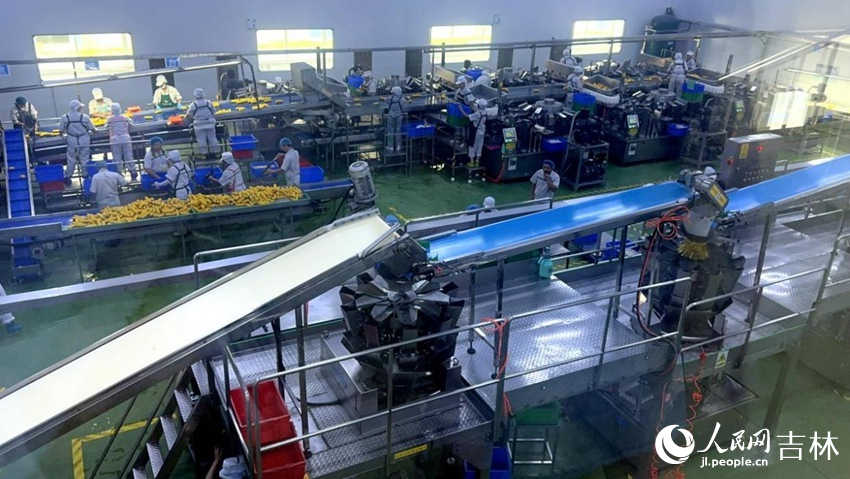 吉林省农嫂食品有限公司生产车间内一片火热。人民网记者 王海跃摄