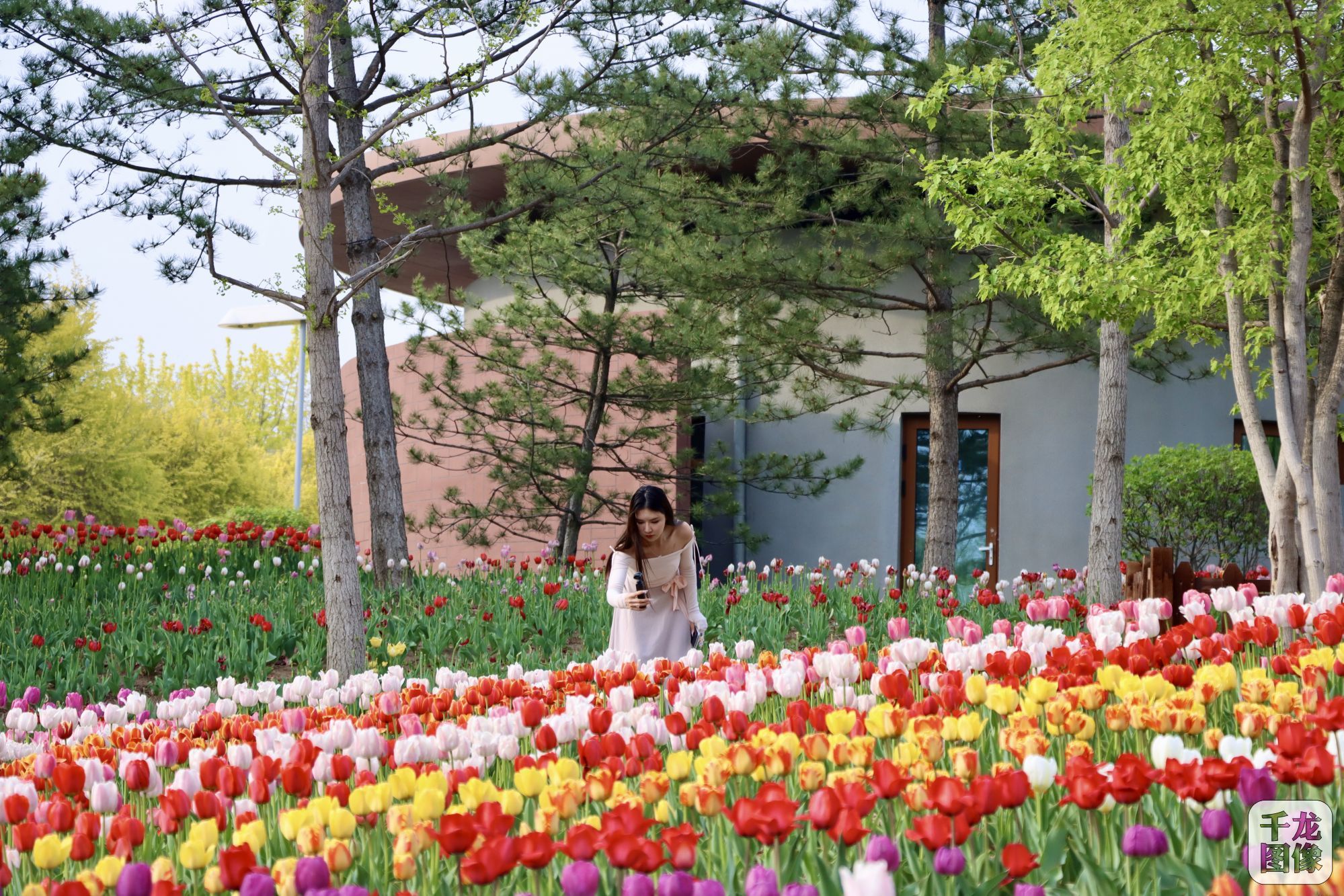 微信图片_20250428113120