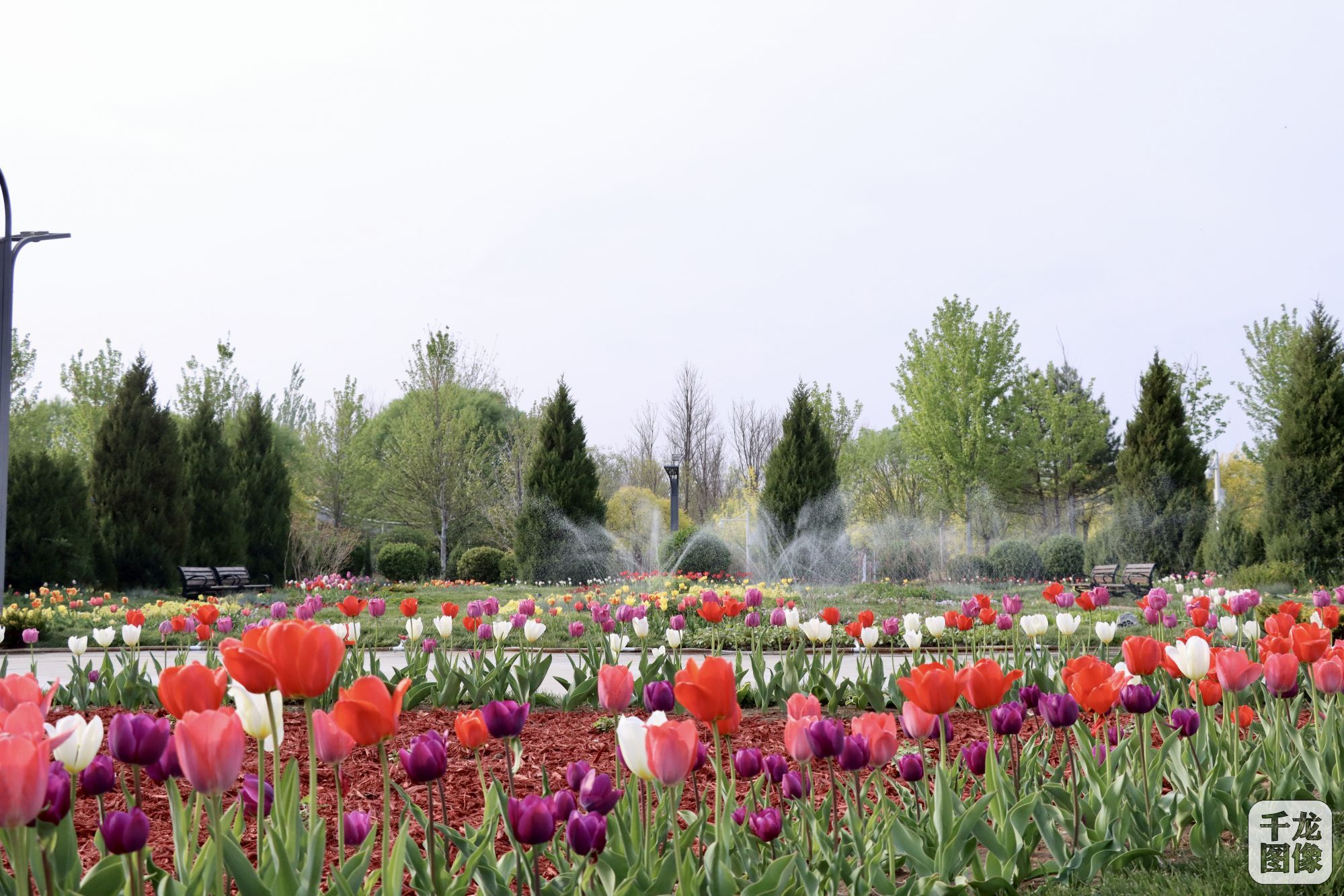 微信图片_20250428113140