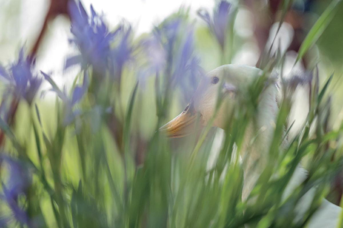 时间：4月29日