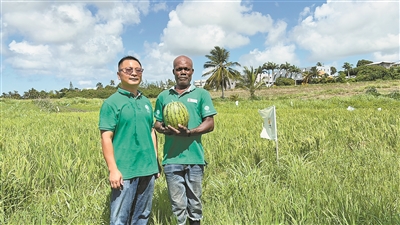 6f2d2f10-ea16-4b91-a741-c9dd0e4a4287