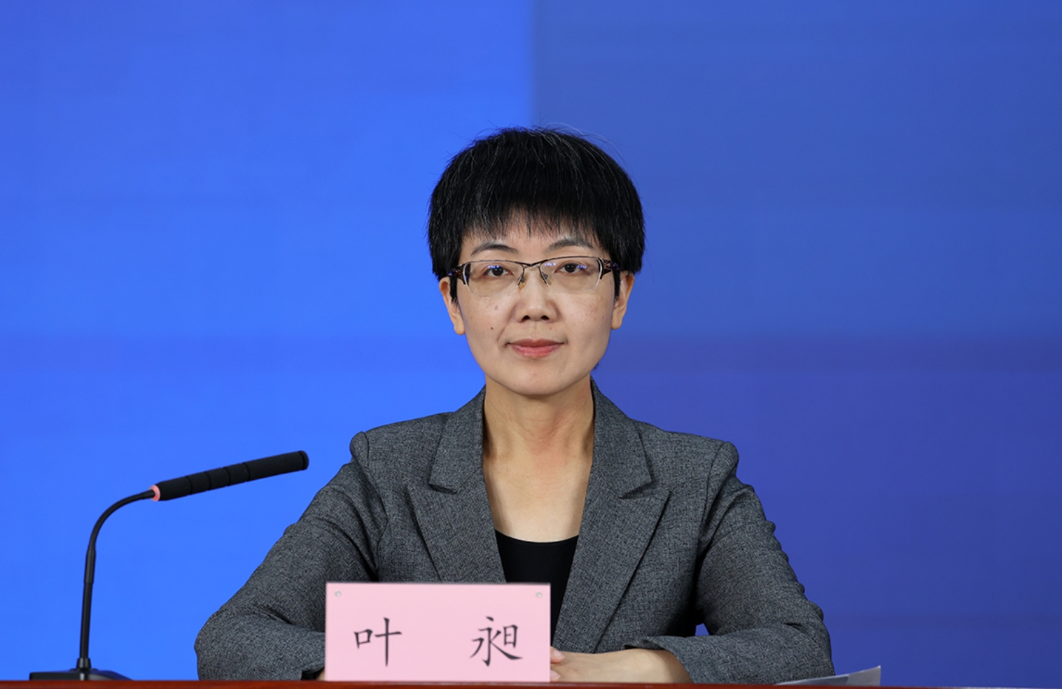 北京市委宣传部对外新闻处处长 叶昶