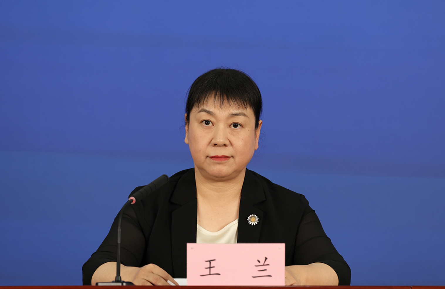 北京市重点站区管委会党组成员、副主任、新闻发言人 王兰