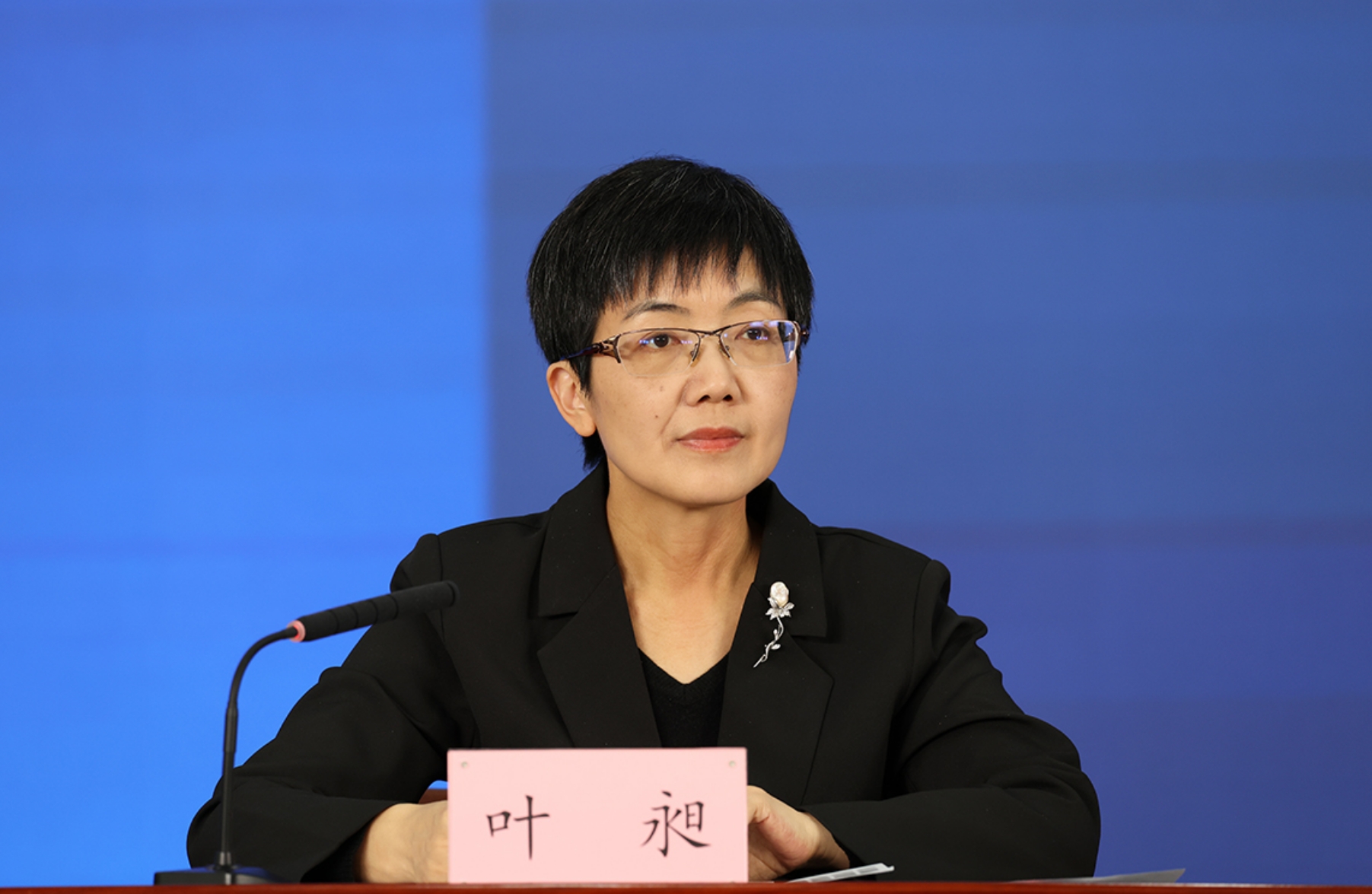 北京市委宣传部对外新闻处处长 叶昶