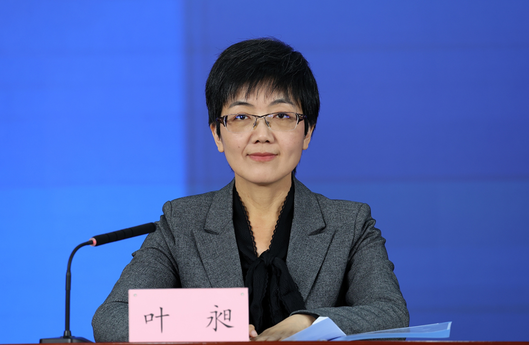 北京市委宣传部对外新闻处处长 叶昶