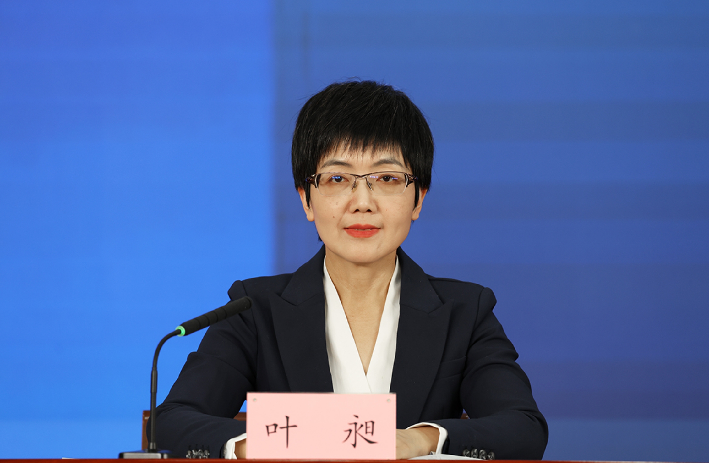 北京市委宣传部对外新闻处处长 叶昶