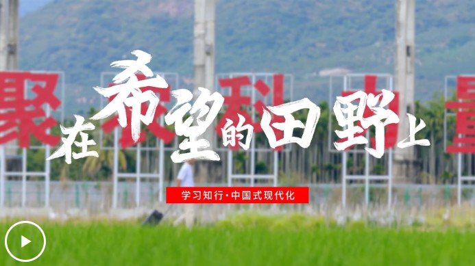 截图20250613100246