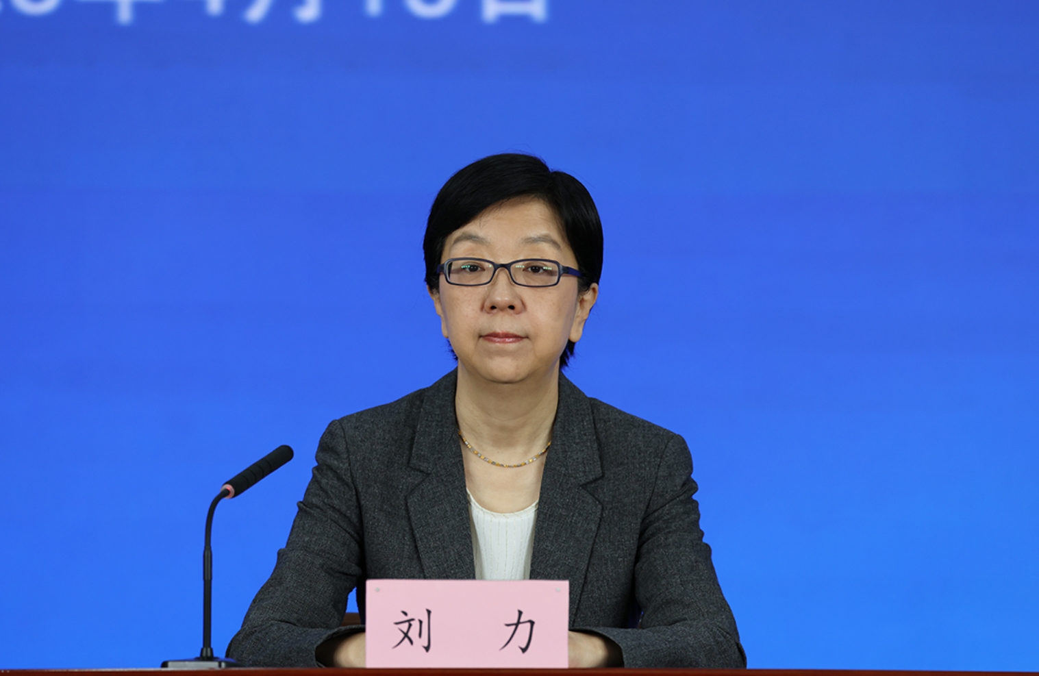 北京经济技术开发区管委会副主任 刘力