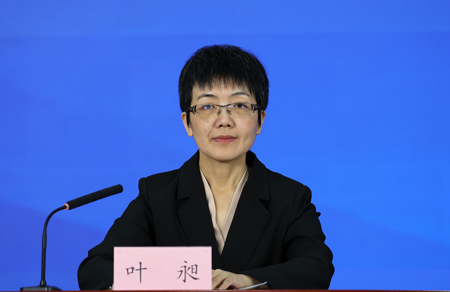 北京市委宣传部对外新闻处处长 叶昶