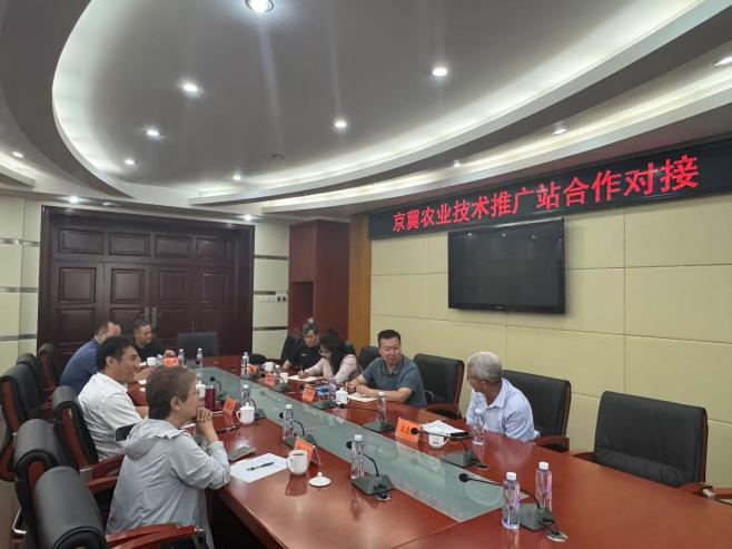 图片 3