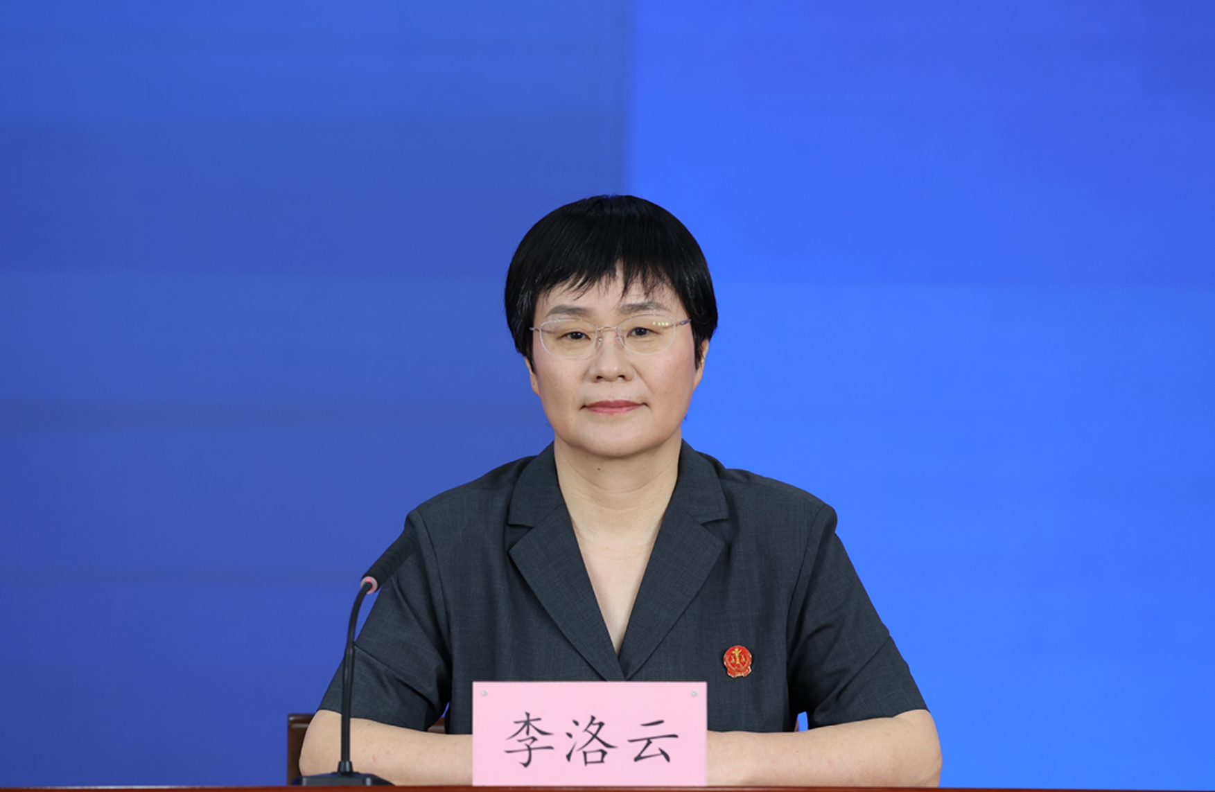 北京市高级人民法院未成年人案件综合审判庭庭长 李洛云