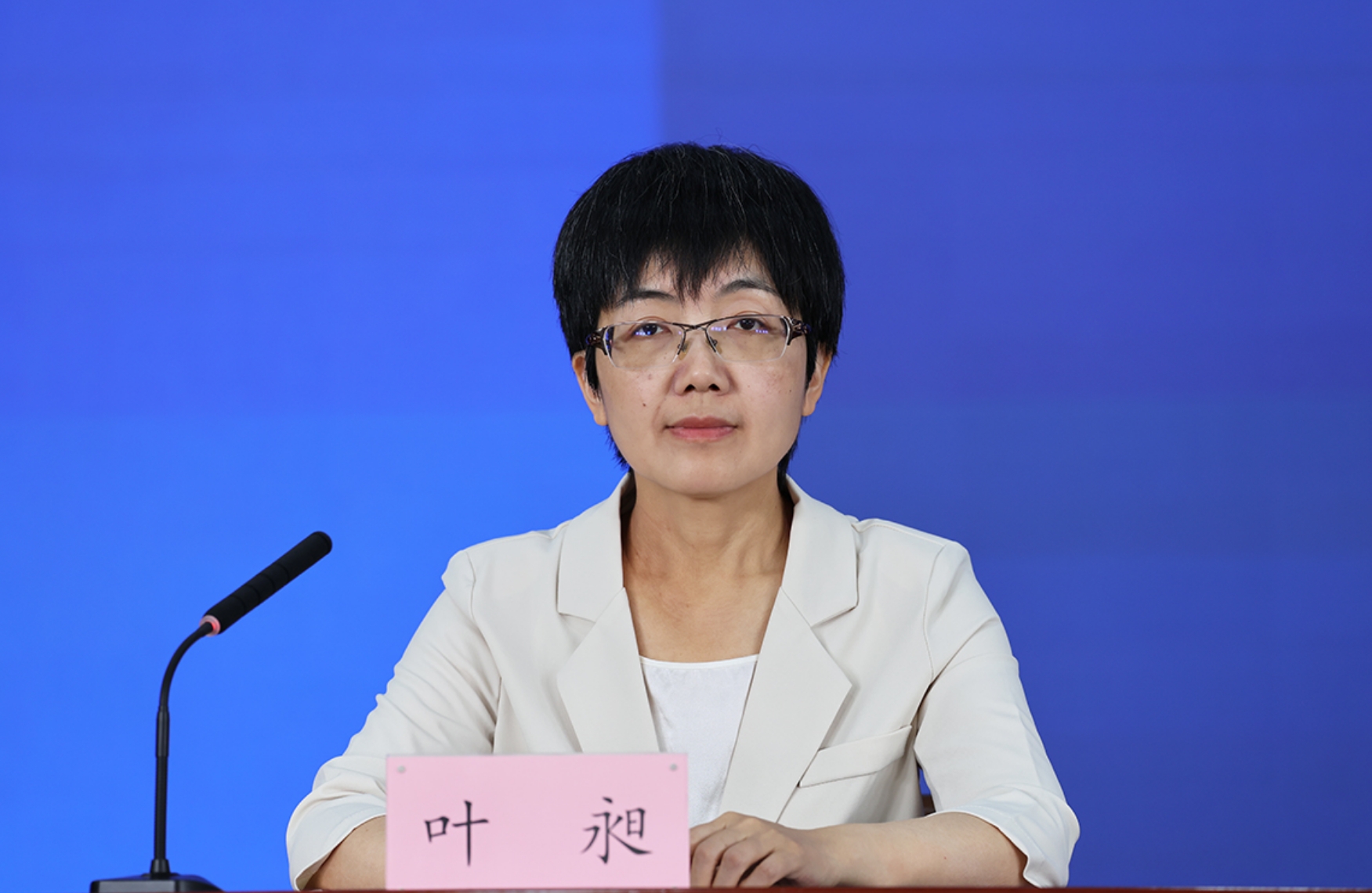 北京市委宣传部对外新闻处处长 叶昶