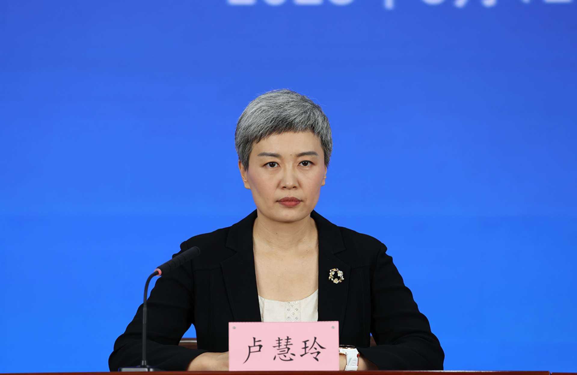 北京市商务局党组成员、副局长，新闻发言人 卢慧玲