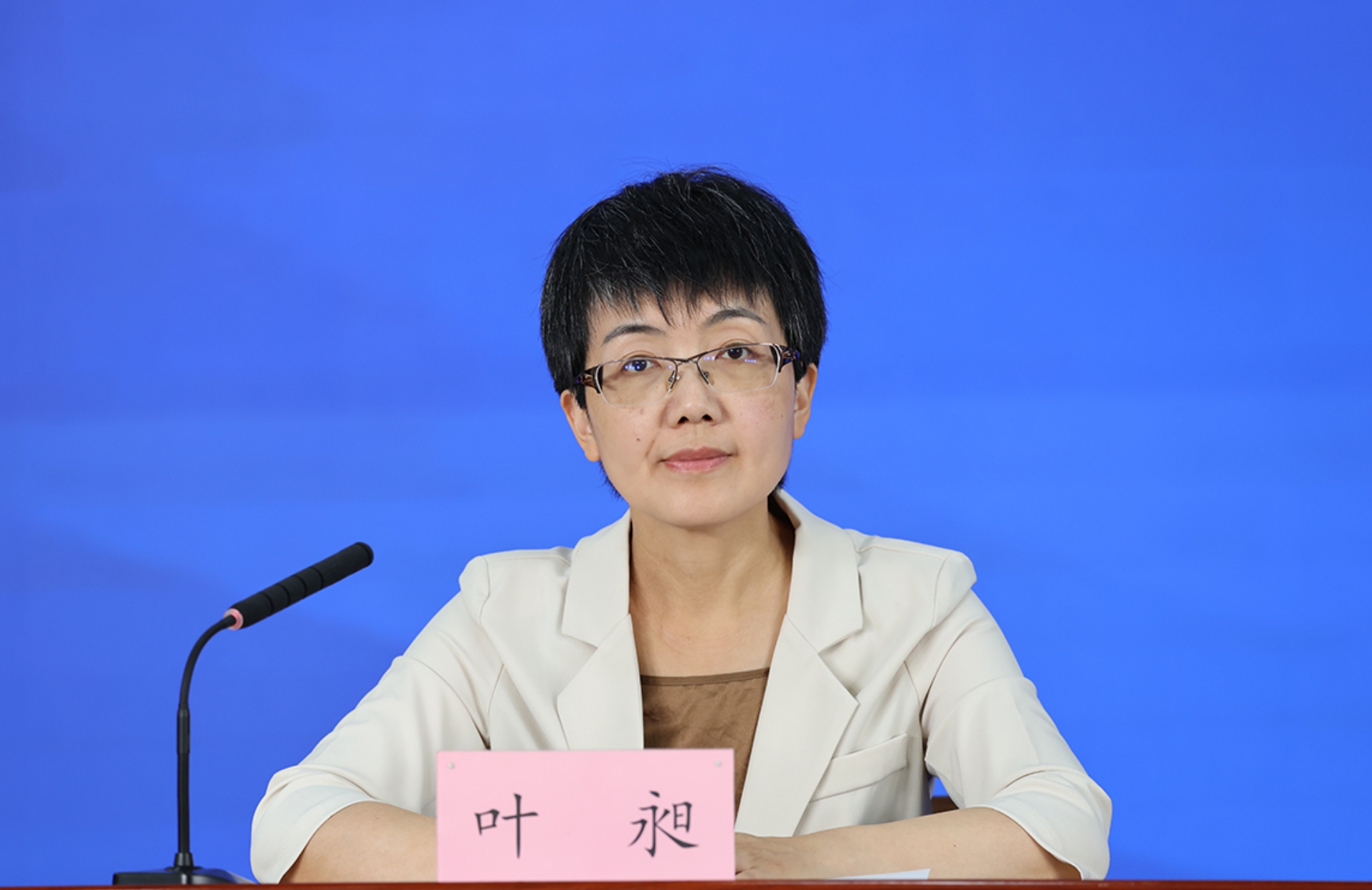 北京市委宣传部对外新闻处处长 叶昶