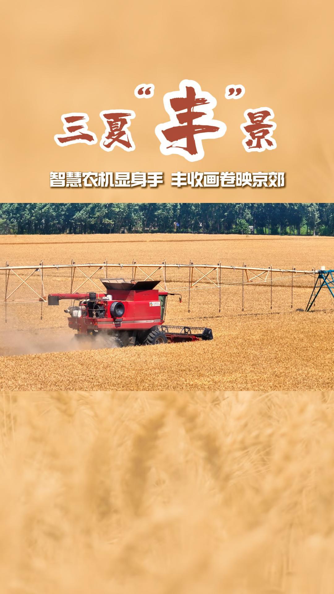 三夏丰景0630-封面2