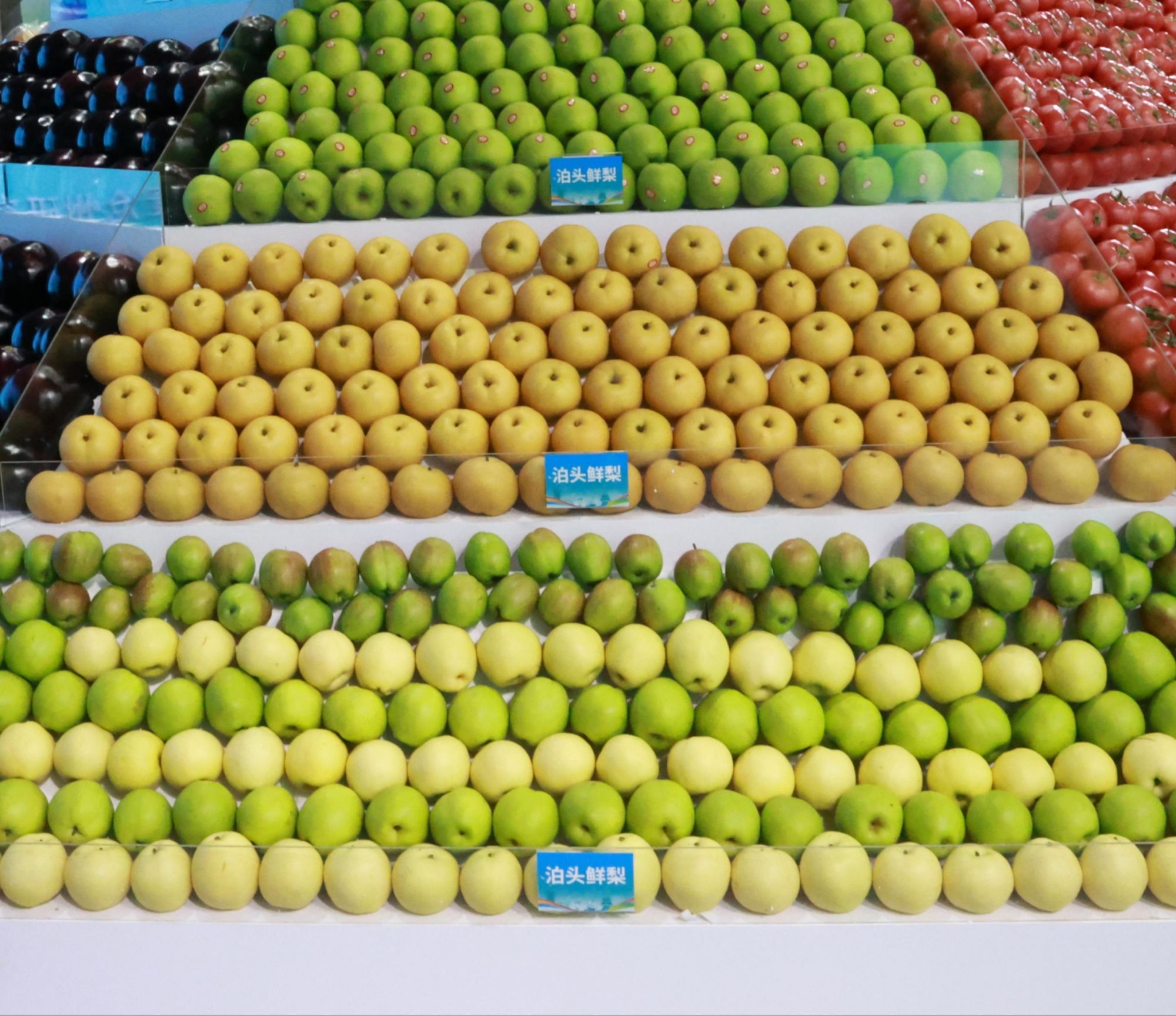 河北沧州水果展示。邱天翔 摄