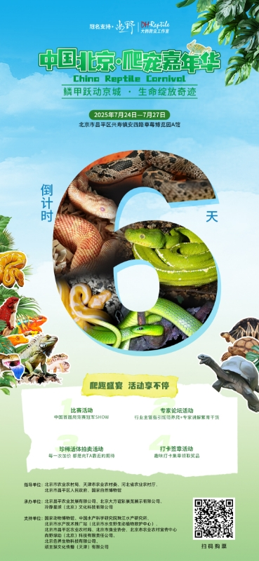 图片 1