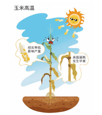 图片 2