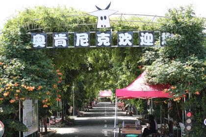 图片 5