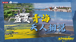 盛夏青海 天人相悦