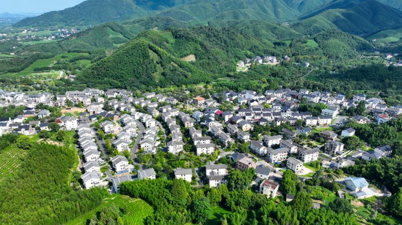 活力中国调研行｜杭州径山村的绿色新活力