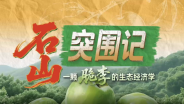 一颗脆李的生态经济学