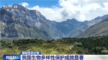 生物多样性保护中国答卷