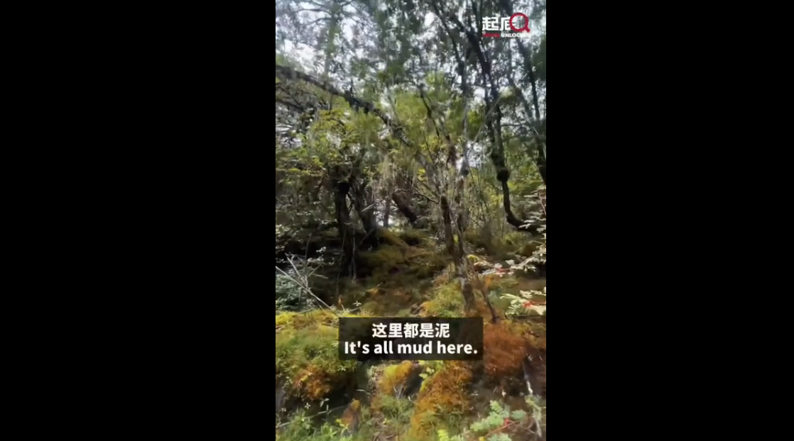 寸土不让的巡边路