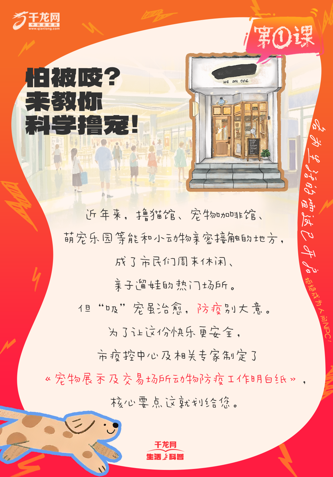2 拷贝