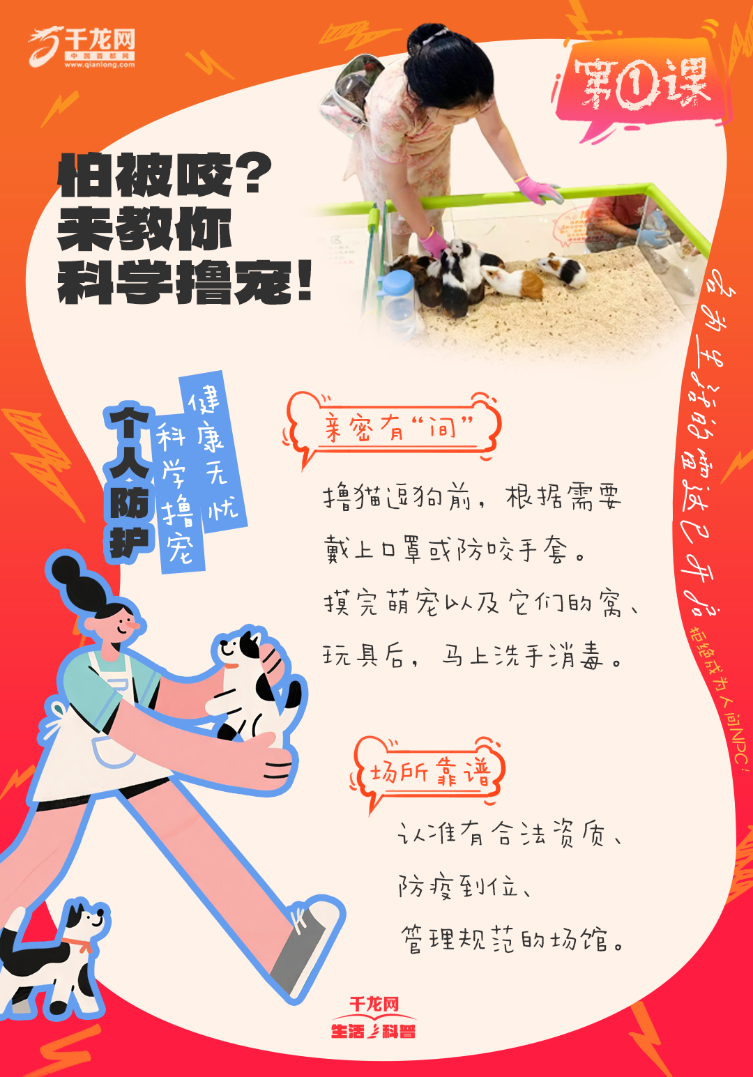 3 拷贝